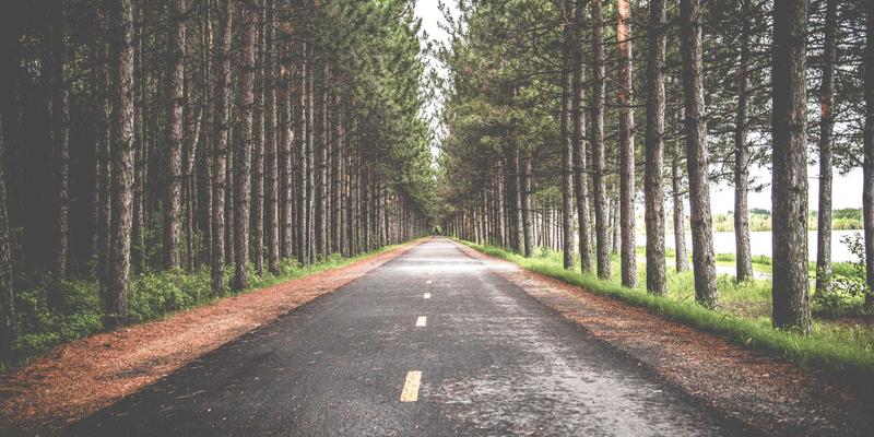 杭州信息领域开源生态建设：开发者社区与开源项目如何驱动技术创新