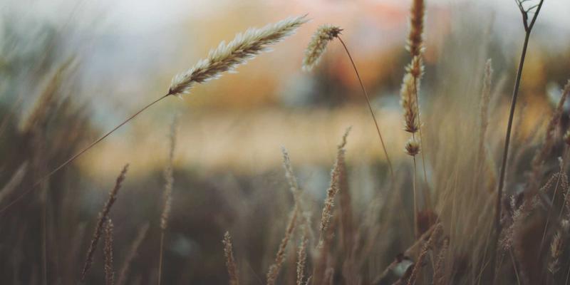 杭州打造全国数字经济第一城：政策红利如何改变你的本地生活与日常活动？