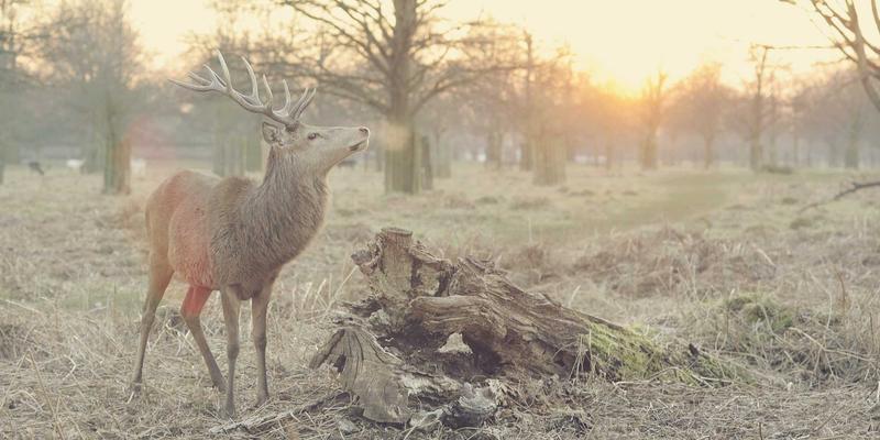 杭州集成电路设计产业：数字经济新引擎的机遇与突围之路